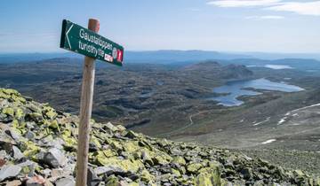 Naturnah durch Südnorwegen (13 Tage)