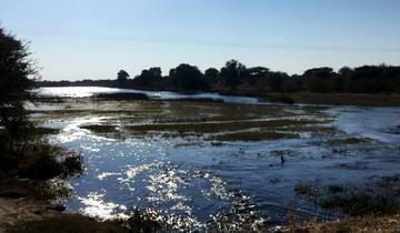 Circuits économiques vers Botswana