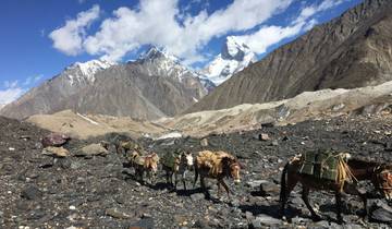 Pakistan - Troonzaal van de berggoden: K2 Basiskamp Trek (19 dagen)-rondreis