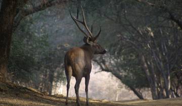 Incredible India with Ranthambore Safari