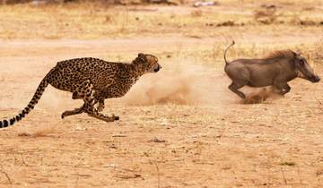 Südindien Heritage & Nagarhole Wildlife Reise
