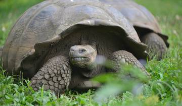 ECUADOR ANDINO AND GALAPAGOS ISLAND Tour