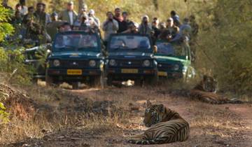Bandhavgarh, Kanha Tiger Safari & Taj Experience
