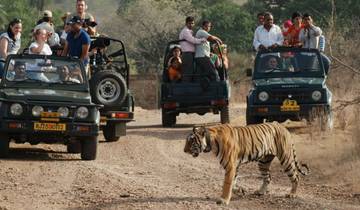 Bandhavgarh, Kanha, Pench Tiger Safari & Taj Experience