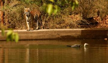 Exotic India, Mumbai, Pench Tiger Safari & Shimla Hills
