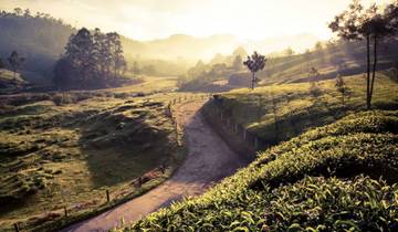 Kerala Nature & Coastal Delight