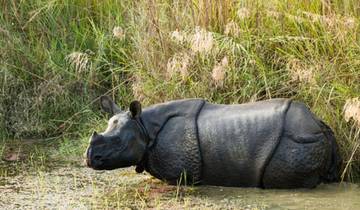 Nord- bis Ostindien mit Taj & Kaziranga Erlebnis