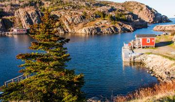Newfoundland Circumnavigation - M/V Ocean Albatros