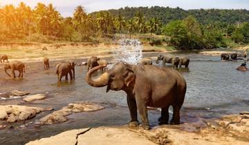 Splendours of Sri Lanka Tour
