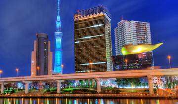 Japan Verhoogd - 15 dagen