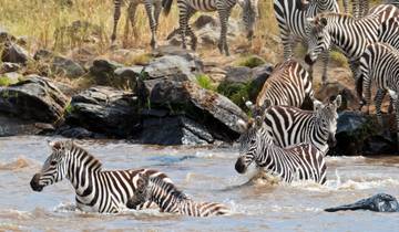 Klassieke Kenia safari - 8 dagen