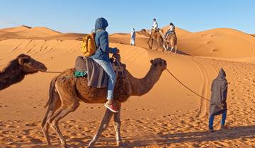 8-Day Tour Route from Tangier via Fez, Desert, and Ending in Marrakech Tour