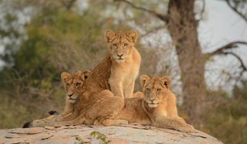 A South African Journey Tour