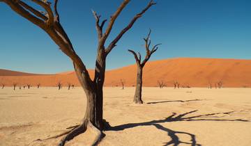 The Very Best of Namibia Tour