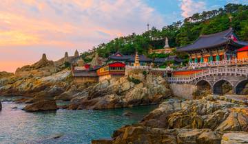 Ultimate Voyage: Japan’s Remote Islands, Icons & Coastal Discovery
