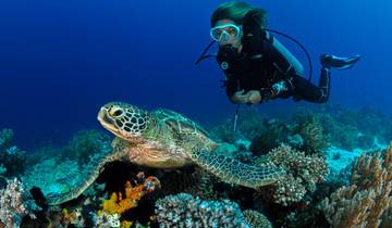 Galapagos duiken: Hamerhaaien & onderwateravonturen in 8 dagen-rondreis