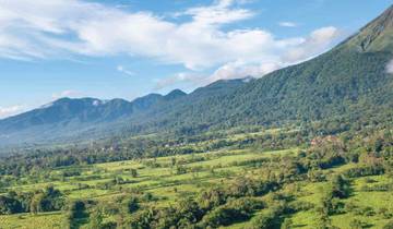Costa Rica Rainforest - Small Group (Small Groups)