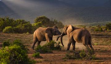 8 jours/7 nuits : Safari au Kenya et en Tanzanie circuit