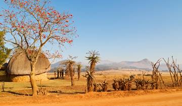 Afrique du Sud pour les célibataires et les personnes voyageant seules (15 jours) circuit