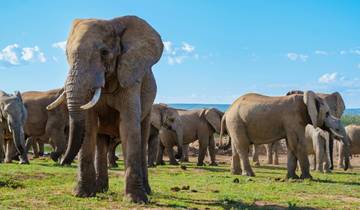 The Classic Garden Route Tour