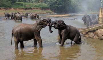 Exotisches Sri Lanka Erlebnis Rundreise