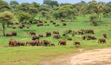 Escapade en Tanzanie du Nord - 2 jours de safari circuit