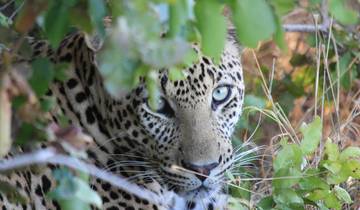 Les joyaux cachés du sud de la Tanzanie - 5 jours de safari circuit