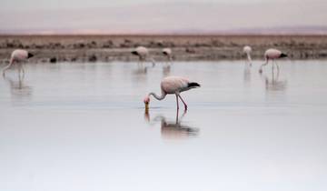 Landscapes of Chile: From Volcanoes to Glaciers