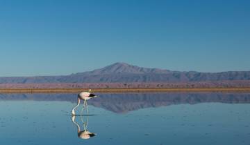 Landscapes of Chile: From Volcanoes to Glaciers