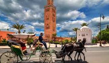 From Marrakech : 16-Days Southern Morocco Adventure: Sahara Desert, Atlas Mountains & Atlantic Ocean