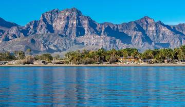 Baja California Sur - un paradis naturel méconnu