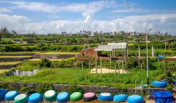 Gember & Citroengras Vietnam Culinaire Rondreis - 11 dagen