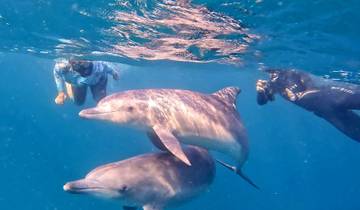 Re-Wilding in Mosambik mit Delfinen und Schuppentieren Rundreise