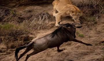 TANZANIA SAFARI 6 Days Camping Adventure Safari Tour