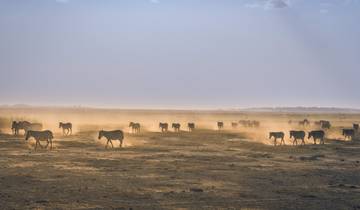 Kenya & Tanzania Safari Expedition with Zanzibar Tour