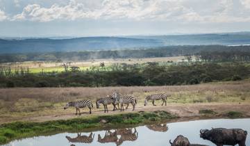 Kenia: un safari clásico con Nairobi y Mombasa