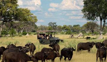 Aventura de 2 días en Chobe en el Elephant Valley Lodge