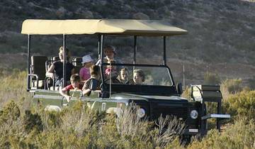 Circuito Tour de 6 días por Ciudad del Cabo, safari en Aquila y Sossuvlei