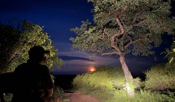 Safari de luxe de 4 jours à l'Elephant Plains Lodge, dans la réserve de Sabi Sands