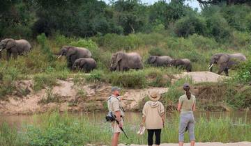 Circuito Safari panorámico y cultural de 3 días por la Ruta de los Jardines