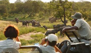 3-tägige „Big Five“-Safari in Sabi Sands in der Umkumbe Safari Lodge