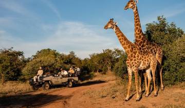 Circuito Safari de 3 días por el Parque Kruger y la Ruta Panorámica