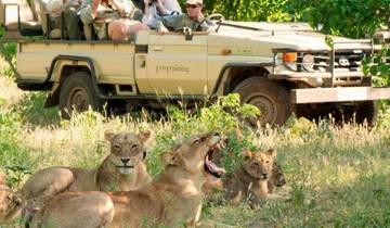 4-tägige Wildtiersafari im Krüger-Nationalpark – Aufenthalt in der Tremisana Lodge Rundreise