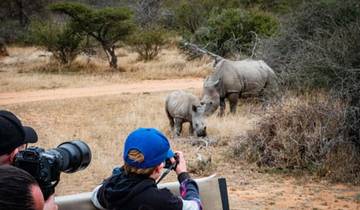 4 Day Mid Range Safari - Kwa Maritane Bush lodge