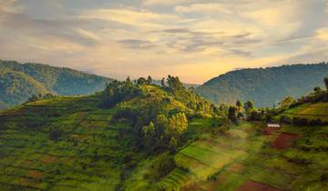 Bwindi Nationaal Park