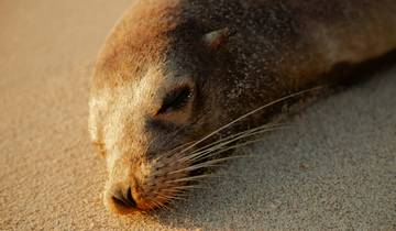 Forfait vol + hôtel aux Galápagos – 5 jours