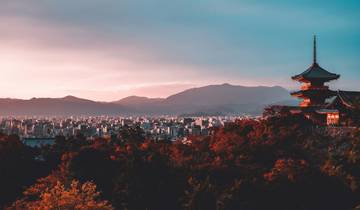 Stel je eens voor: eindeloze ontdekkingen in Zuid-Korea en Japan-rondreis