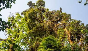 5-Day Costa Rica Nature & Adventure Experience