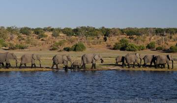 Les 8 meilleurs jours au Zimbabwe : Plan du safari aux chutes Victoria et à Hwange