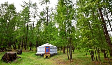 Expedición a Mongolia: Pastores de renos